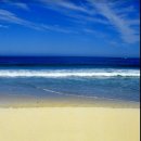 고영삼복싱아카데미 이미지