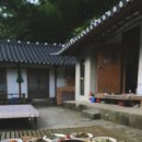 둘레길민박 Daum카페