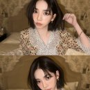 벨리티 이미지