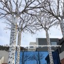 슈가휴게실 이미지