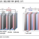 신흥전지