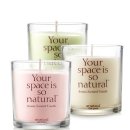 소이메디칼 이미지