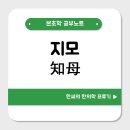지모(知母)의 효능을 파헤쳐보자 : 폐, 위의 실열 뿐 아니라 음허열에도 응용할 수 있는 약재
