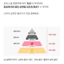 오가며슈퍼 | 슈퍼멤버스 블랙 등급에서 옐로우 강등 후기