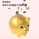 꽃돼지 - 남구 유엔평화로9번길 53 | 꽃돼지