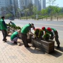 양지로·양지남로 이미지