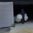 변산농장2 이미지