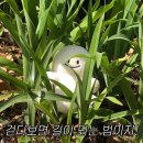 Dear.bebe(디어베베) | 9월 7일•행복은 그곳에서 늘 우리를 기다리고 있다