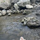 짚삼초 | 🐔 <경기도 계곡 추천 >왕방리 계곡 앞, 백숙 맛집 짚삼초 내돈내산 후기