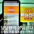 삼생농장 | 여름 대표간식! 강원도 찰옥수수 기획전
