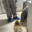 세븐일레븐 서산센스빌중앙점 이미지