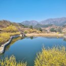 남원 구례 견두산 산행하고 산수유축제 구경까지 💕 이미지