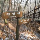 월송리 약수터 Daum카페