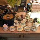 삐에드라 이미지