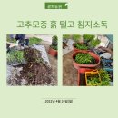 광희농원