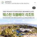 [신혼여행지_두바이/모리셔스]미리준비하고, 알아보고 계약한 후기