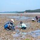 거차뻘배체험마을 이미지