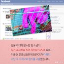 핑키 - 포항시 북구 | 핑키