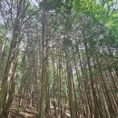 홍룡사 - 1811 | ​[양산 가볼만한곳] 여름날의 청량함, 양산 홍룡계곡 & 홍룡사 주차 정보부터 물놀이 솔직 후기까지