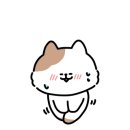 깡돼후 야시장 이미지