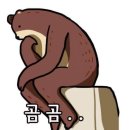 2827 | W6. 대전 맞춤예복 계약 | 미사글리아대전점 (우리가 맞춤 선택한 이유)