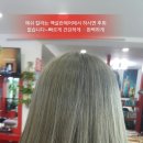 에쉬헤어샾
