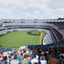 프로스팀 이미지