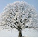 전남대정문 이미지