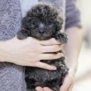 오마이프렌즈 이미지