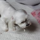 서울축산 이미지