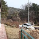 포레스트휴 이미지