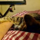 하얀기린 동물병원 이미지