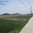 정우면사무소 네이버블로그