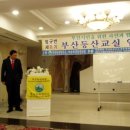 주태교육 Daum카페