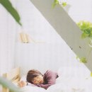 쇼쿠 이미지