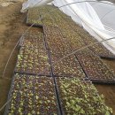 창암농장 이미지