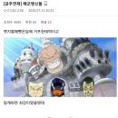 마리조아