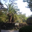 한림공원 이미지