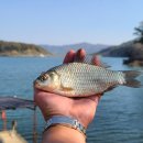 정안 낚시터 이미지