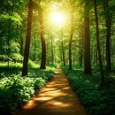 6월24일(수) 🌳~출석부~🌳 이미지