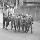 하주2교 이미지