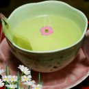 인연과 만남은 ... 법정스님 이미지