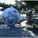 신촌리 (대섬입구방면) | [2025-09-06] 제주올레 18코스(김만덕 기념관 → 조천만세동산) 탐방 사진