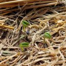 재미농장 이미지