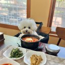 차쉼터 옆 | [인제군 남면] 인제 맛집 아침식사 소고기육개장 &#39;동갈보대쉼터&#39;
