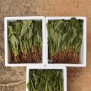 평창중앙로 이미지