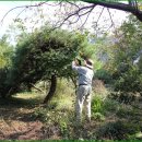 일구농장2 이미지