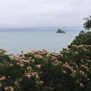 바람불어좋은날 - 함평군 영흥길 90 | 바람불어좋은날