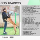 루카스독트레이닝 이미지