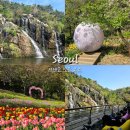 안산자락길 숲속카페 | 서대문 안산 자락길 연희숲속쉼터 튤립 홍제천 카페 폭포 주차